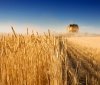 Вінницька міська рада затвердила фінансову підтримку для аграрного сектору: оновлені умови та можливості