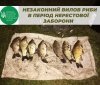 На Вінниччині чоловік здійснив незаконний вилов риби на понад 11 тис грн