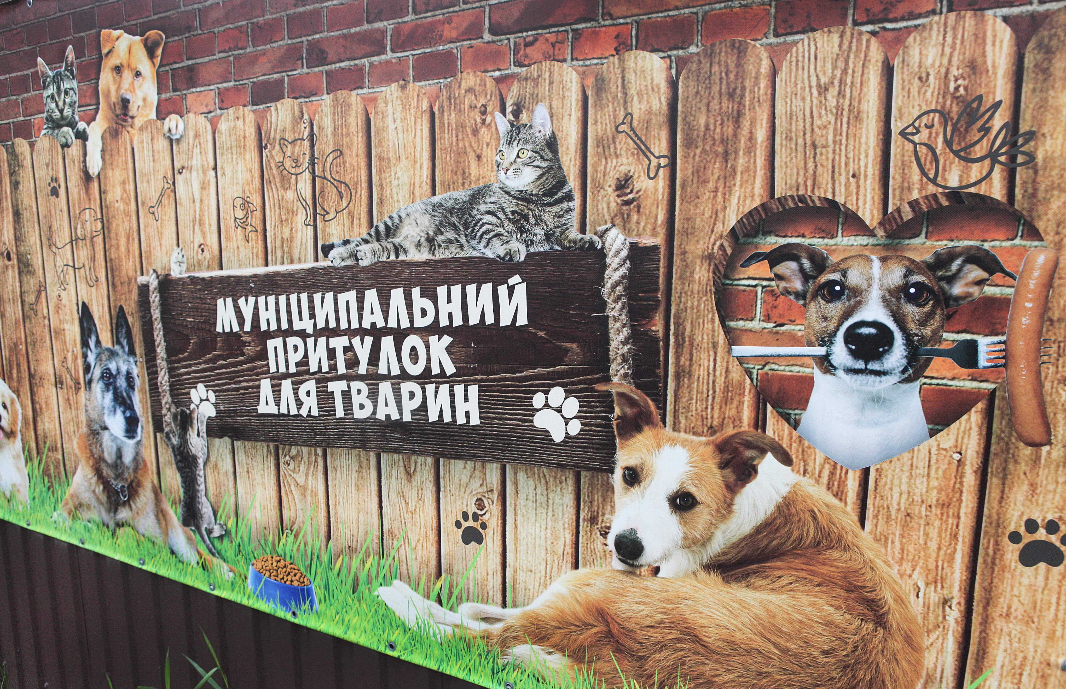 Додавала собакам в їжу тирсу – вінничанка знащуалась над собаками військового