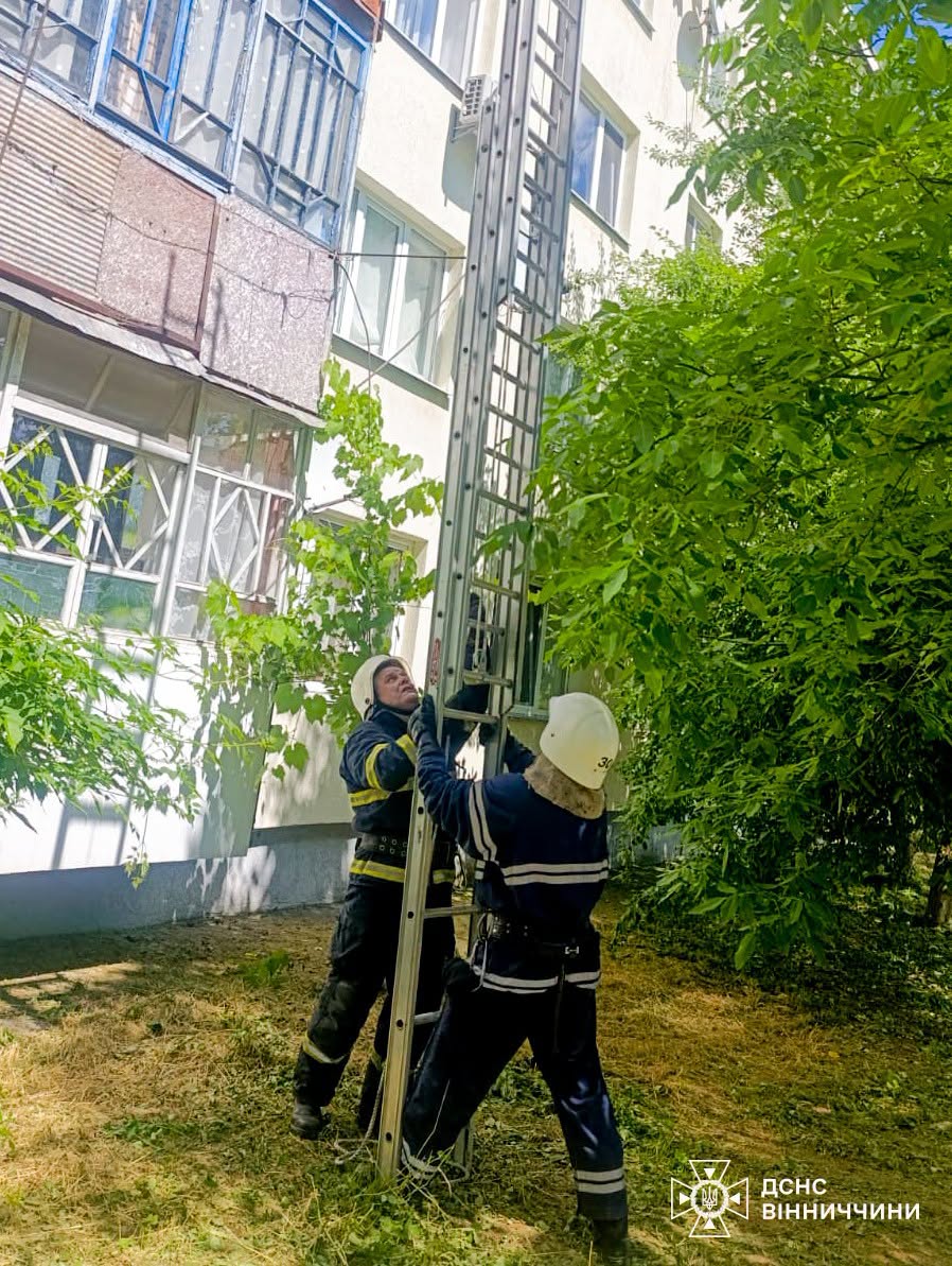На Вінниччині рятувальники допомогли двом літнім жінкам