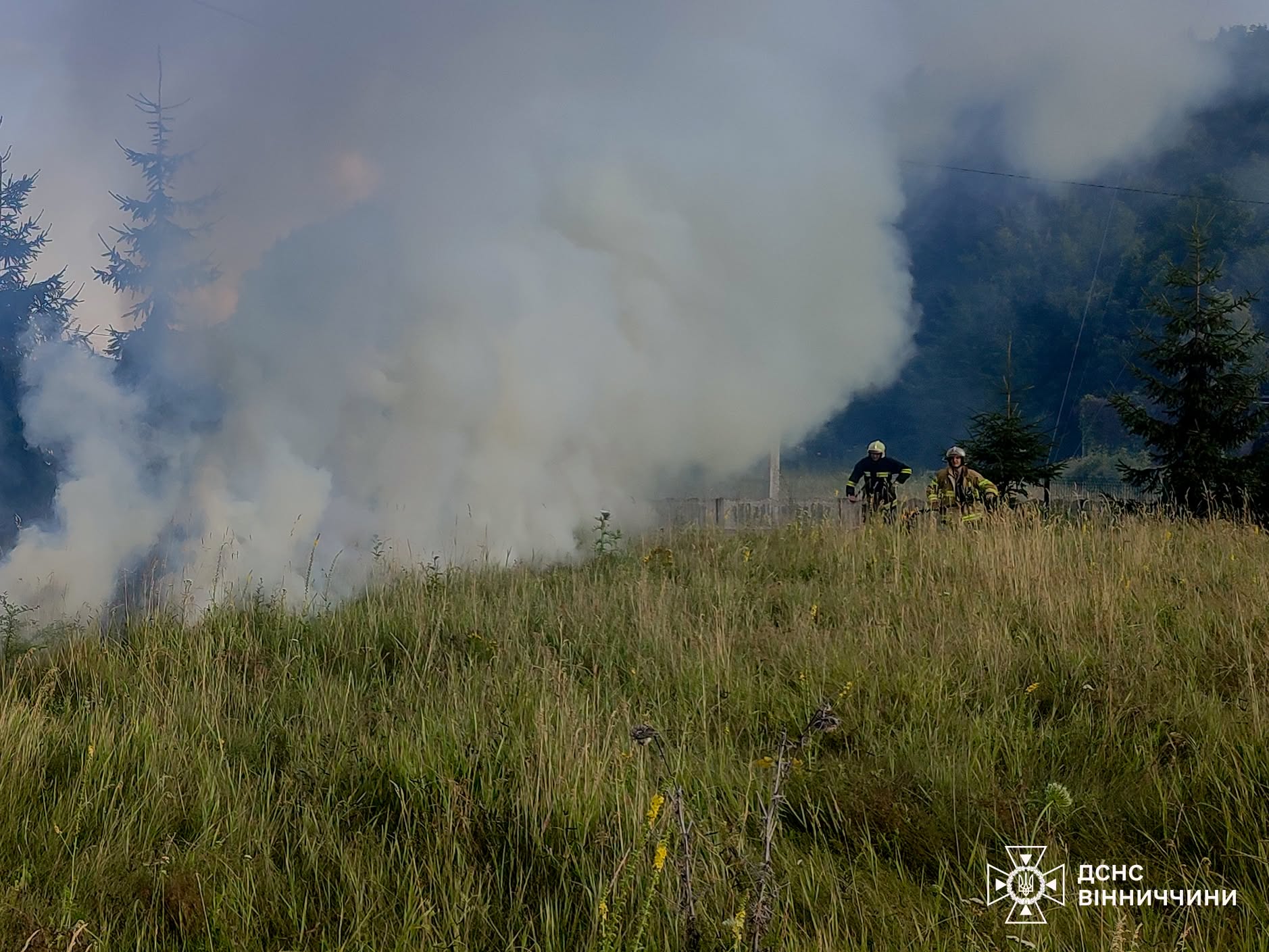 На Вінниччині на узбіччі дороги спалахнула автівка