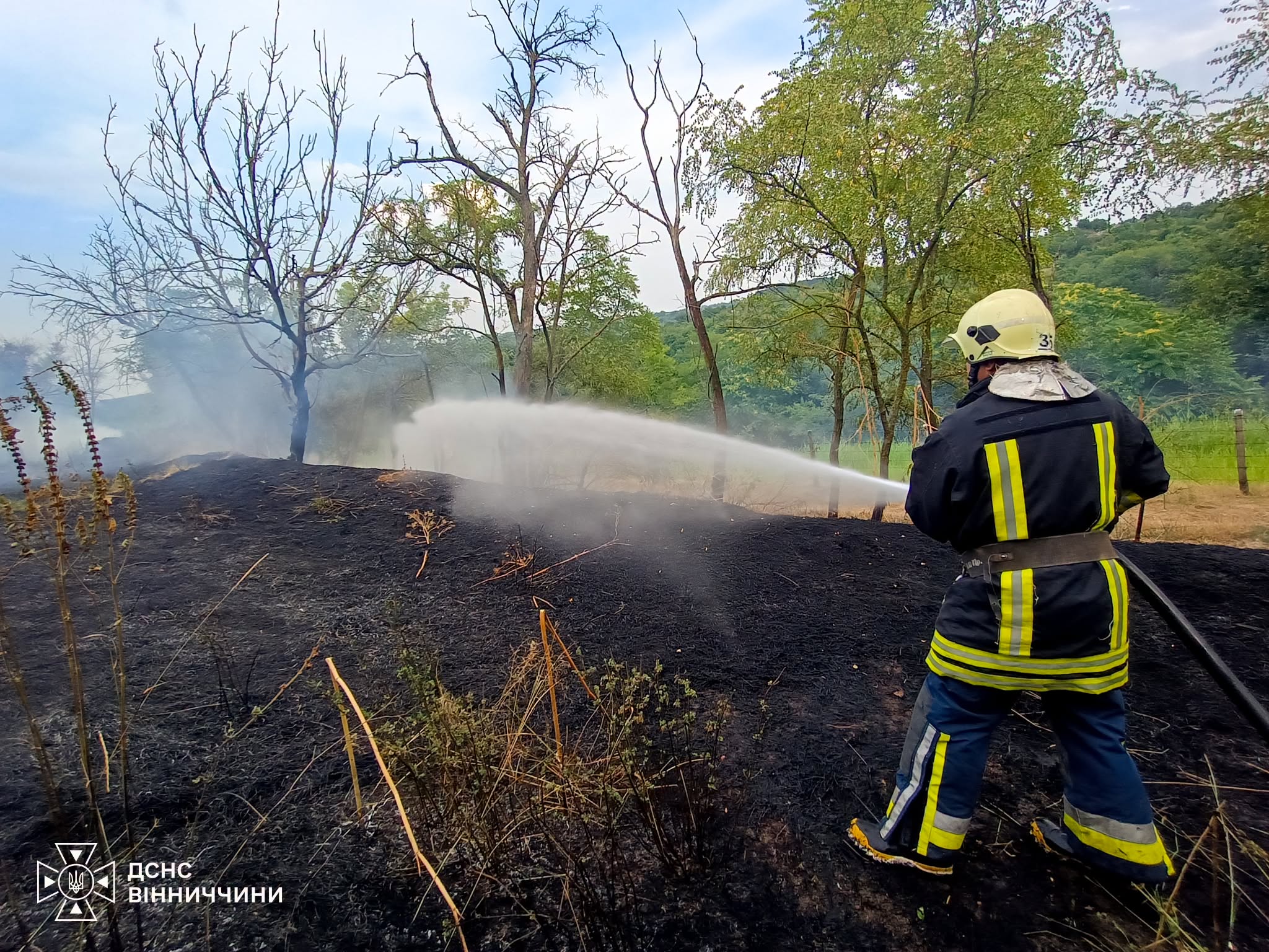 В екосистемах Вінниччини стрімко збільшилась кількість пожеж