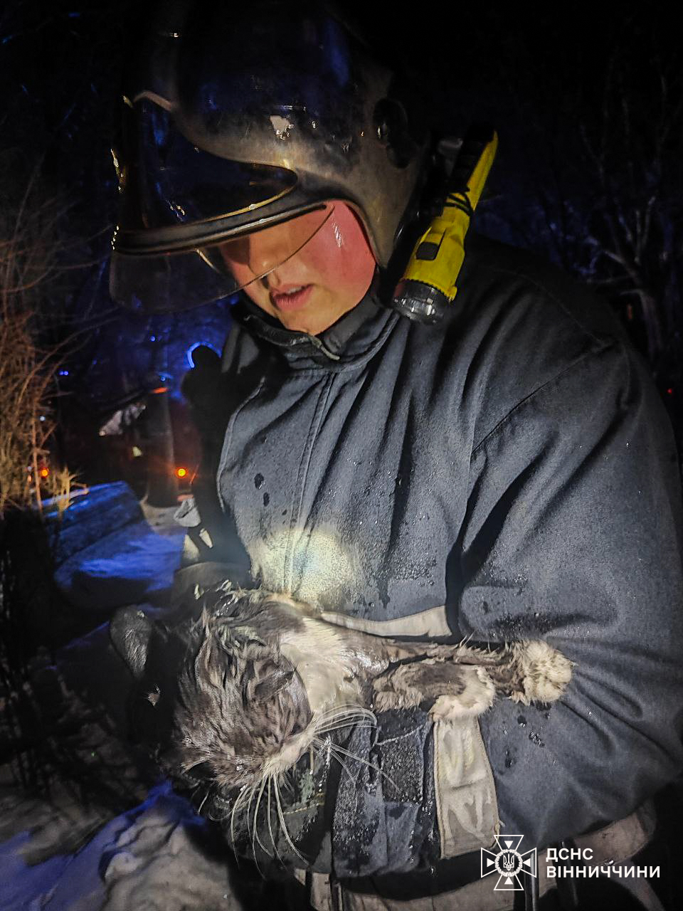 У Вінниці пожежники врятували домашніх улюбленців, залишених в палаючій квартирі