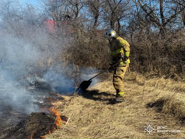 У Вінниці та області горіло в приватних садибах та екосистемах