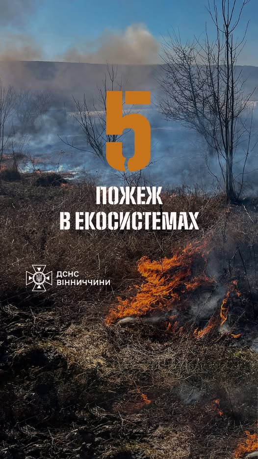 На Вінниччині сталося п‘ять пожеж в екосистемах