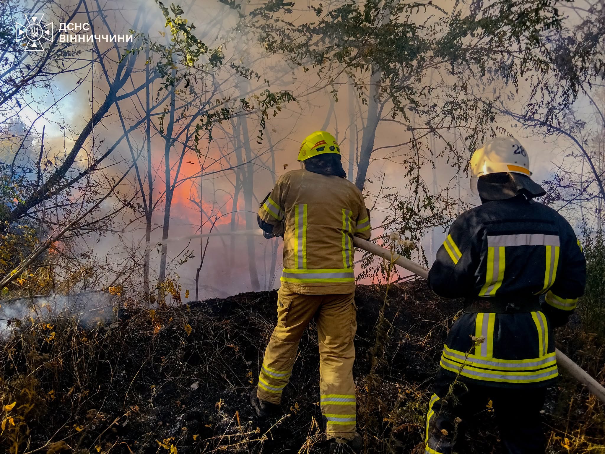 Понад десяток пожеж сталося на Вінниччині в екосистемах (ФОТО)