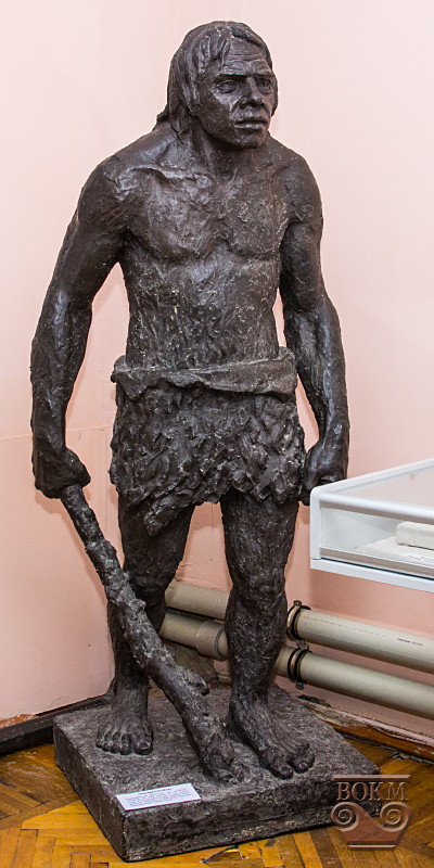 У Вінниці до кінця року працюватиме виставка «Археологія Вінниччини: дослідники та відкриття»