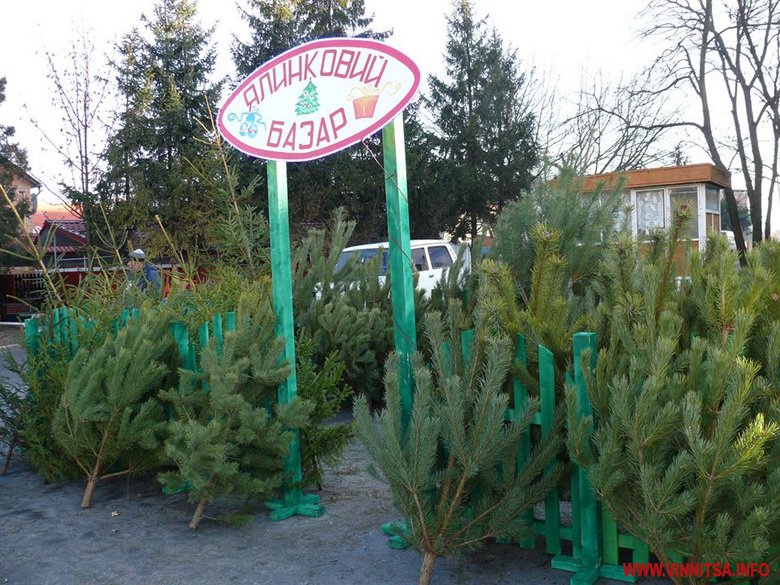 На Вінниччині розпочали продаж новорічних ялинок