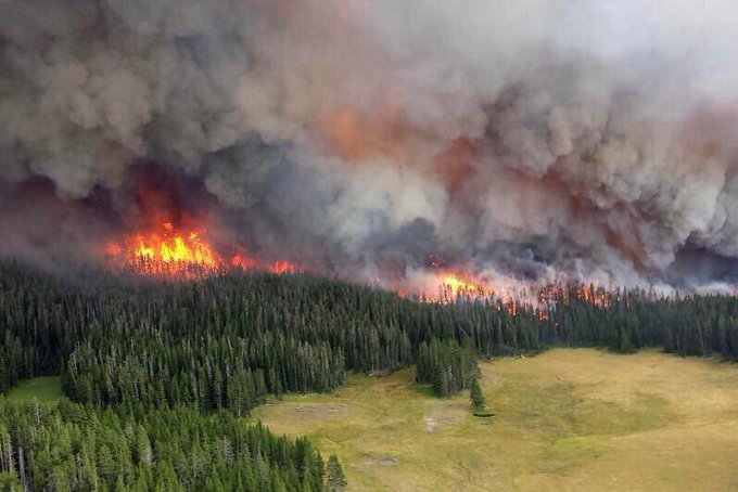 Через лісові пожежі Північна Македонія оголосила кризову ситуацію 