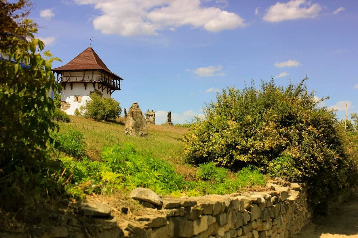 Заповідник «Буша» та заказник «Гора Лисківка» збережено: суд став на бік природи та історії