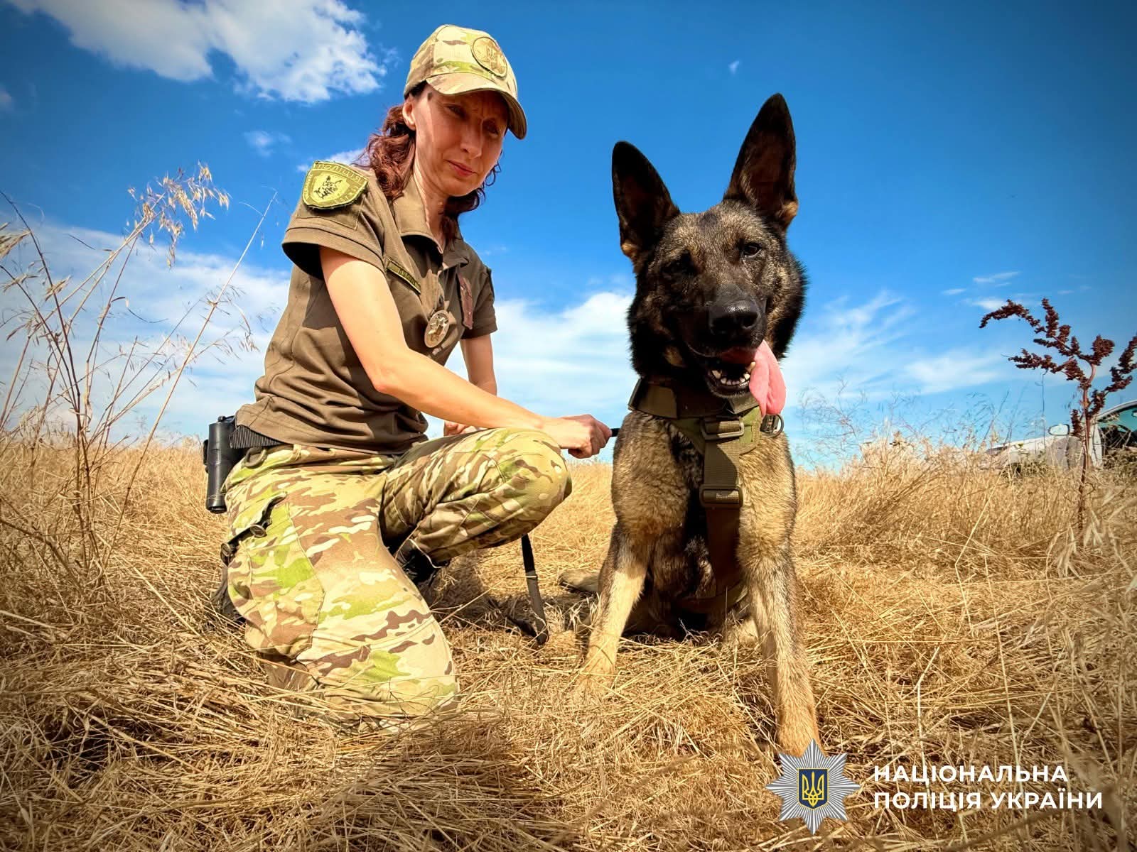 На Одещині службова вівчарка Ельза допомогла врятувати життя пенсіонеру