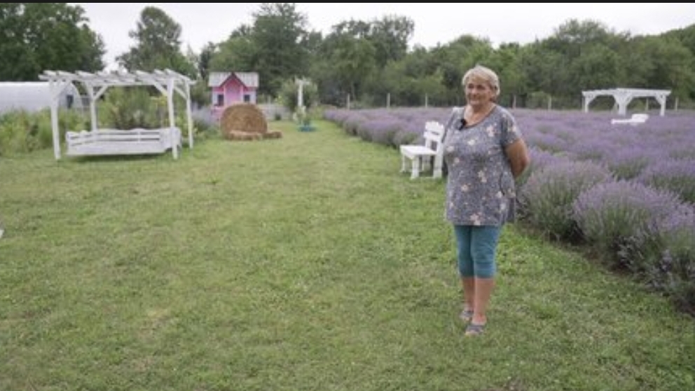 «Зріж букет — підтримай героя»: на Вінниччині збирають кошти на лікування пораненого військового