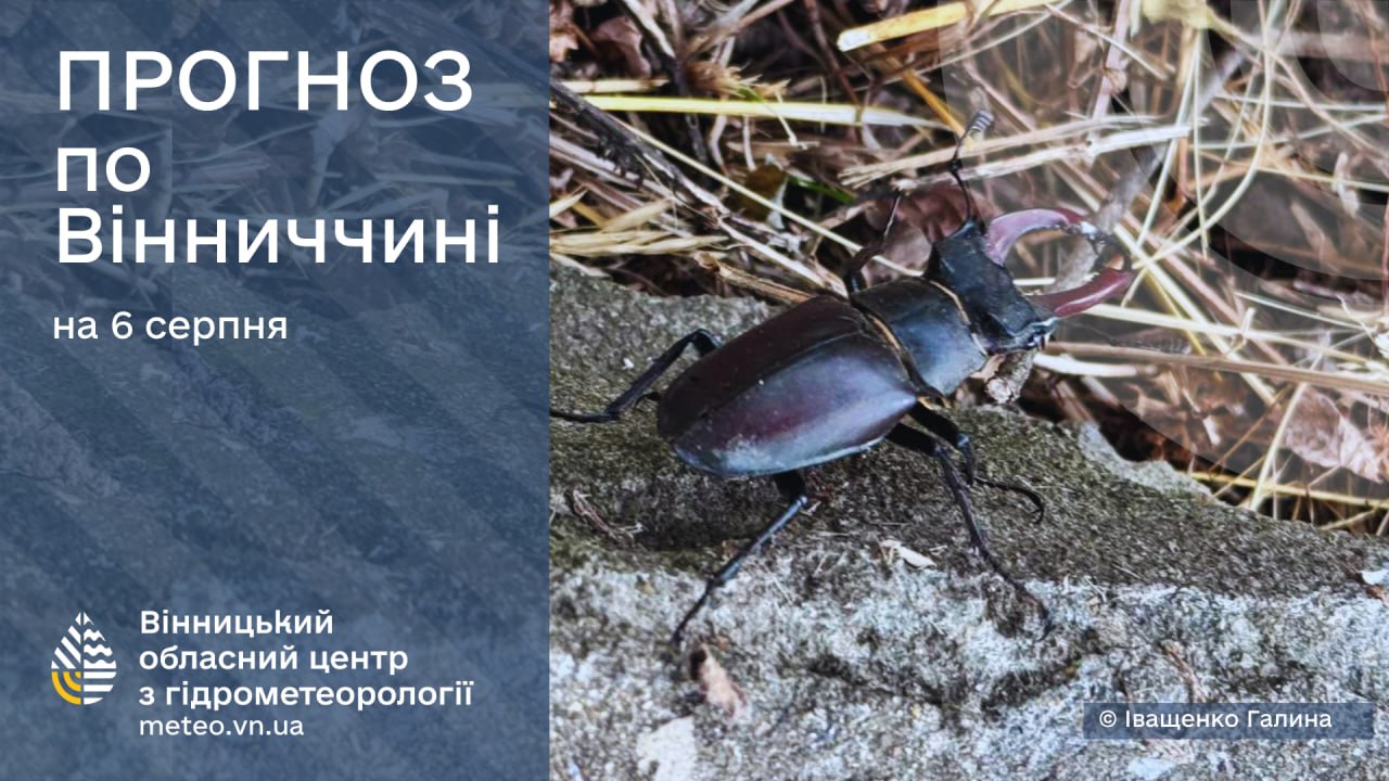 На Вінниччину прийшов холодний фронт: грози, зливи та шквали – коли потепліє?