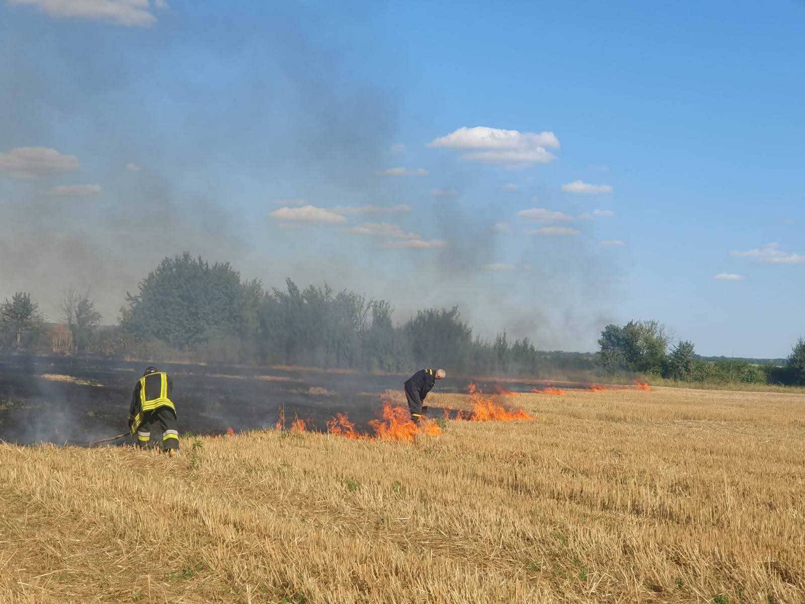 На Вінниччині зафіксували масове спалювання стерні