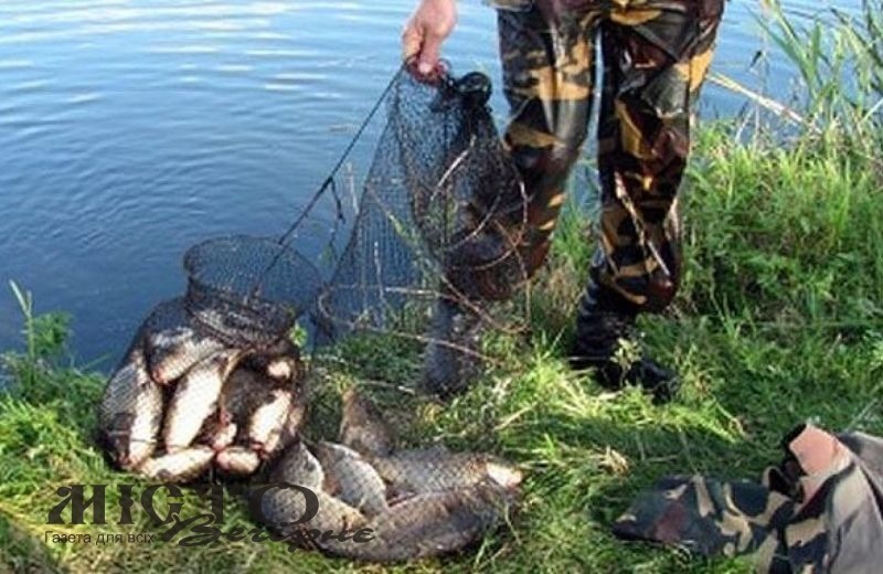 На Вінниччині припинено незаконний рибогосподарський бізнес