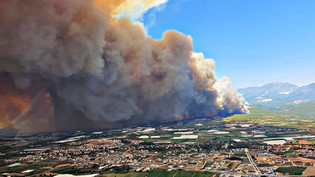 Жертвaми лісових пожеж у Туреччині стaло 50 людей