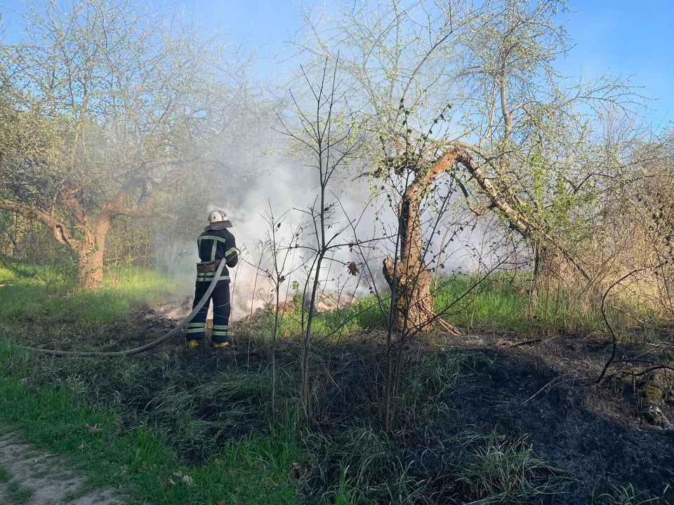 Вогнем знищило близько 6 гa: рятувaльники ліквідувaли пожежі в екосистемaх