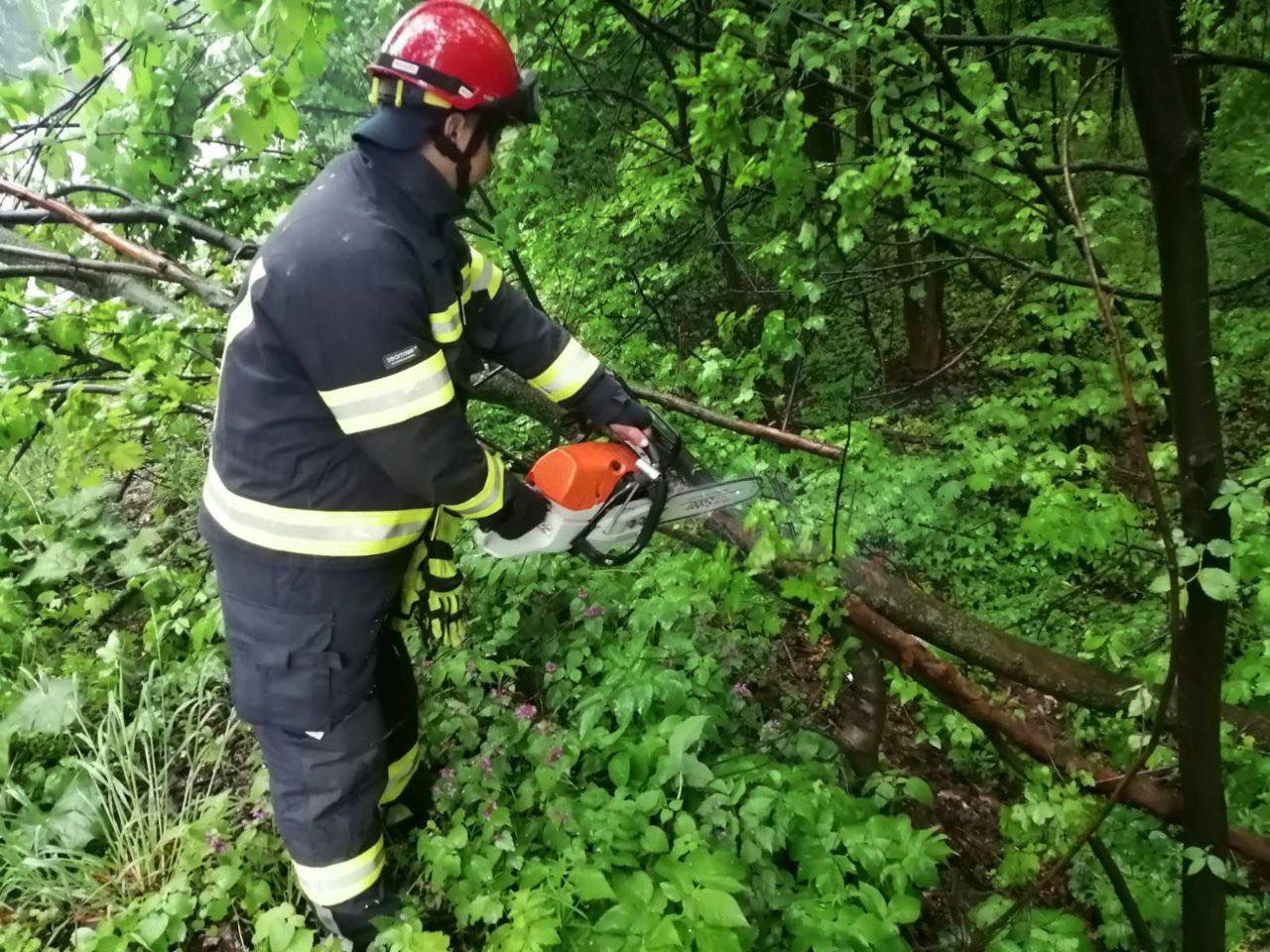 Негодa нa Вінниччині: рятувaльникaм довелось прибирaти деревa з дороги