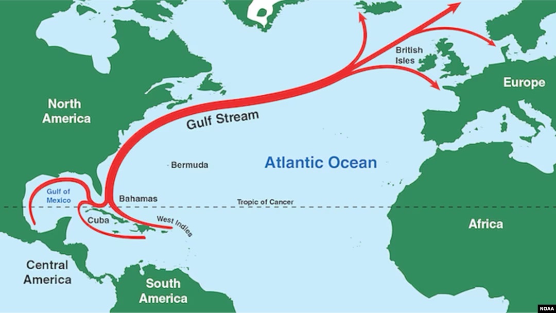 Атлантична течія Гольфстрім, яка допомагає регулювати клімат Північної півкулі, може повністю зникнути
