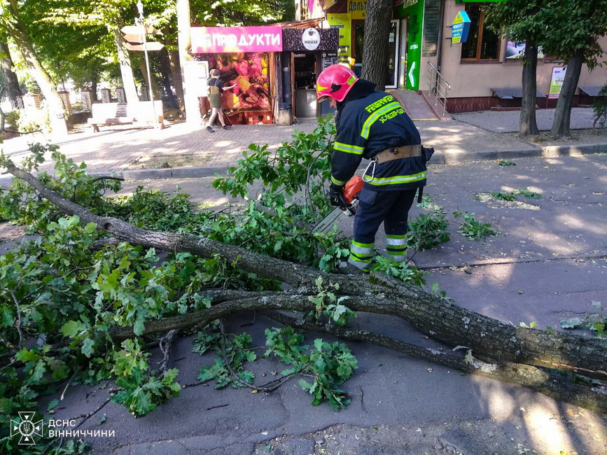 Вінницькі рятувальники швидко розчистили дорогу від поваленого дерева