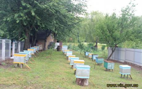 На Вінниччині можна отримати диплом бджоляра