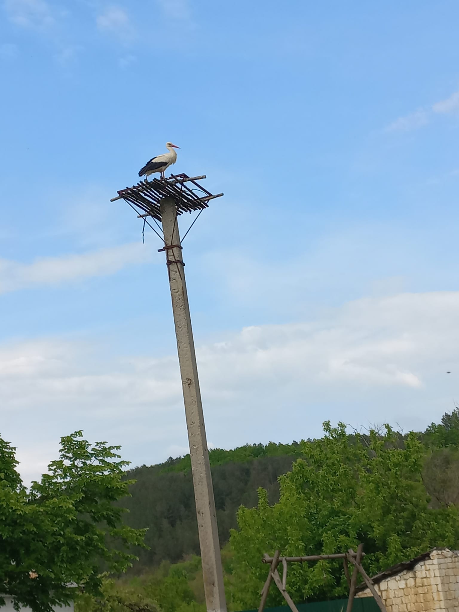 У Вінницькій області, поряд з сільським клубом, встановлено платформу-основу для гнізда лелек
