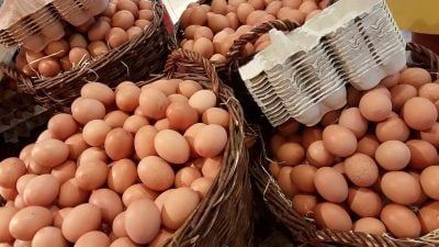 Мінагрополітики домовилися з бізнесом про стримання цін на яйця