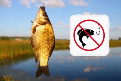 На Вінниччині оголошено заборону на вилов риби на зимувальних ямах