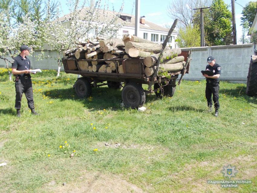 На Чернігівщині поліція «на гарячому» затримала лісокрадів на чолі з колишнім міліціонером