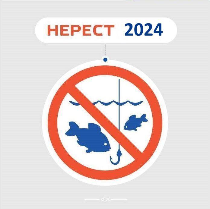 На Вінниччині заборонять вилов риби 