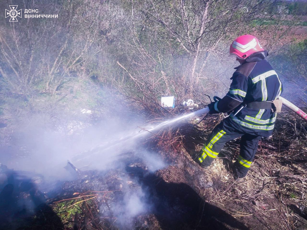 На Вінниччині протягом доби виникло 14 пожеж сухостою: жінку, яка спричинила підпал, оштрафовано