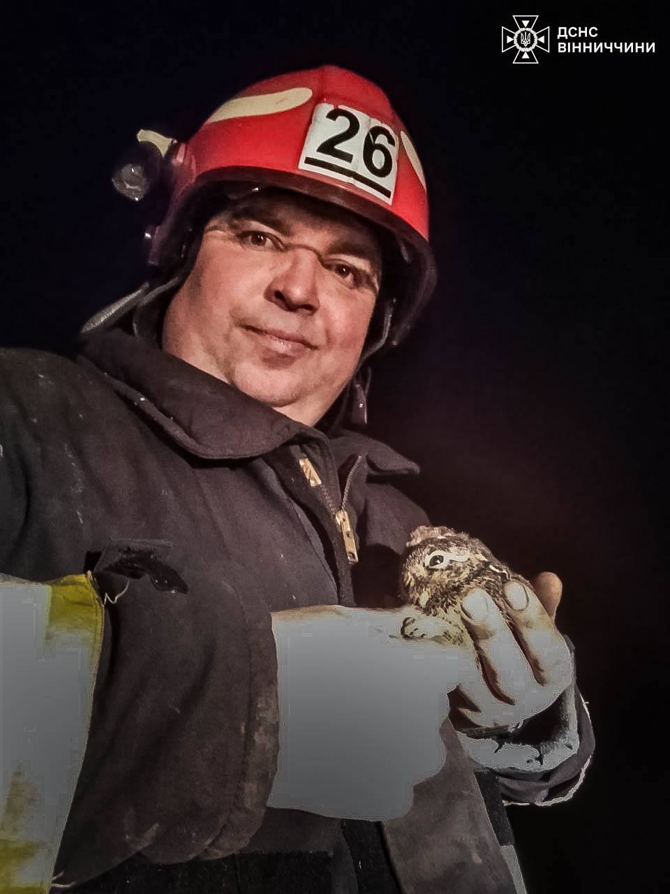 На Віннииччині пожежники врятували від страшної смерті зайченя 