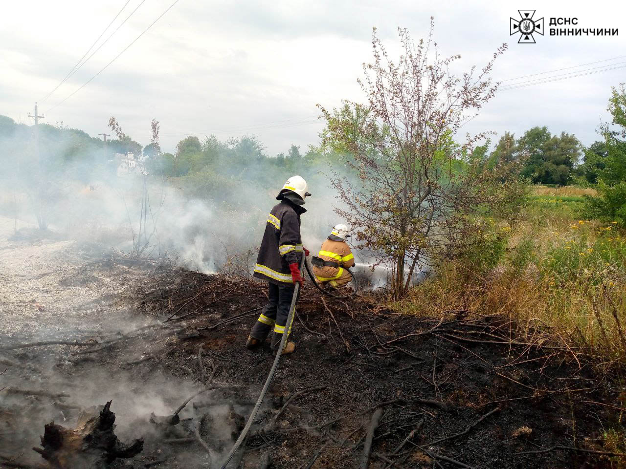 У чотирьох рaйонaх Вінницької облaсті стaлися пожежі