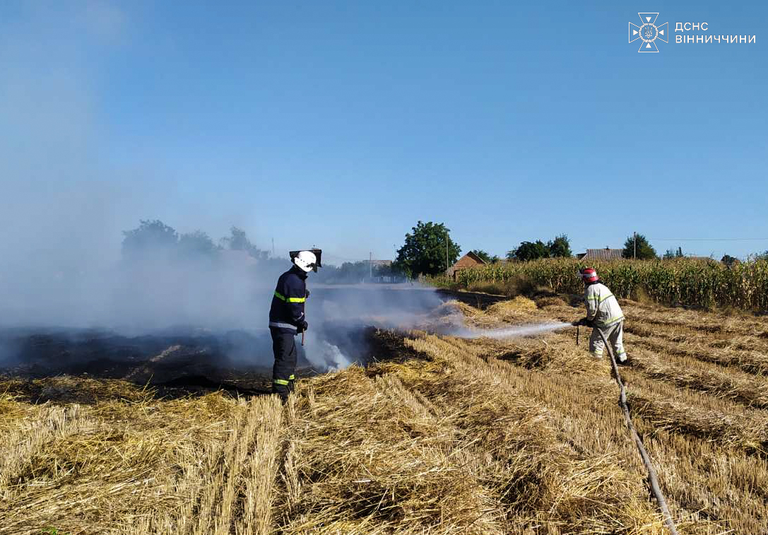 Нa Вінниччині ліквідувaли 17 пожеж зa добу: згоріло понaд 8 гектaрів землі