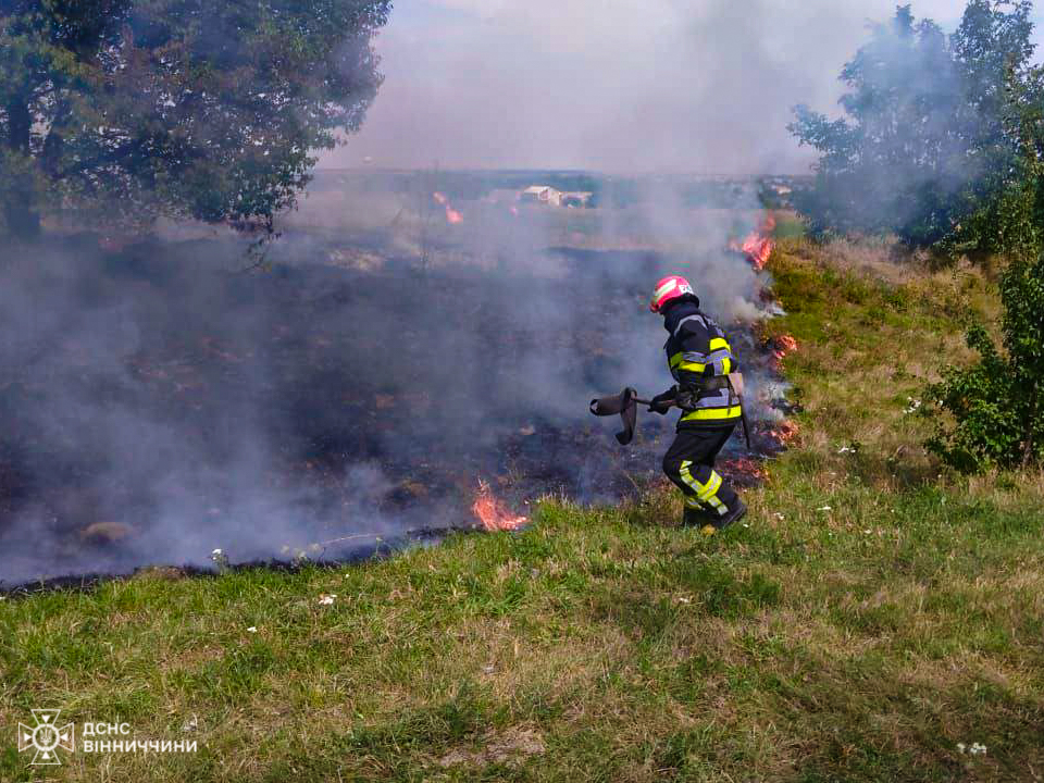 Масштабні пожежі на Вінниччині: рятувальники ліквідували 78 загорянь за добу