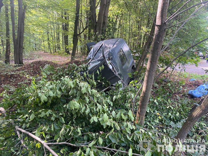 Трагічна ДТП на Вінниччині: пасажир загинув, водій під підозрою — подробиці аварії під Жмеринкою