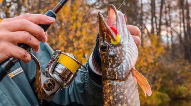 Що найкраще клює у жовтні: Вінницький рибоохоронний патруль поділився порадами