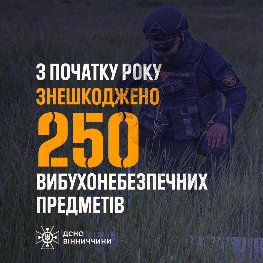 З початку року на Вінниччині сапери ДСНС знищили 250 боєприпасів