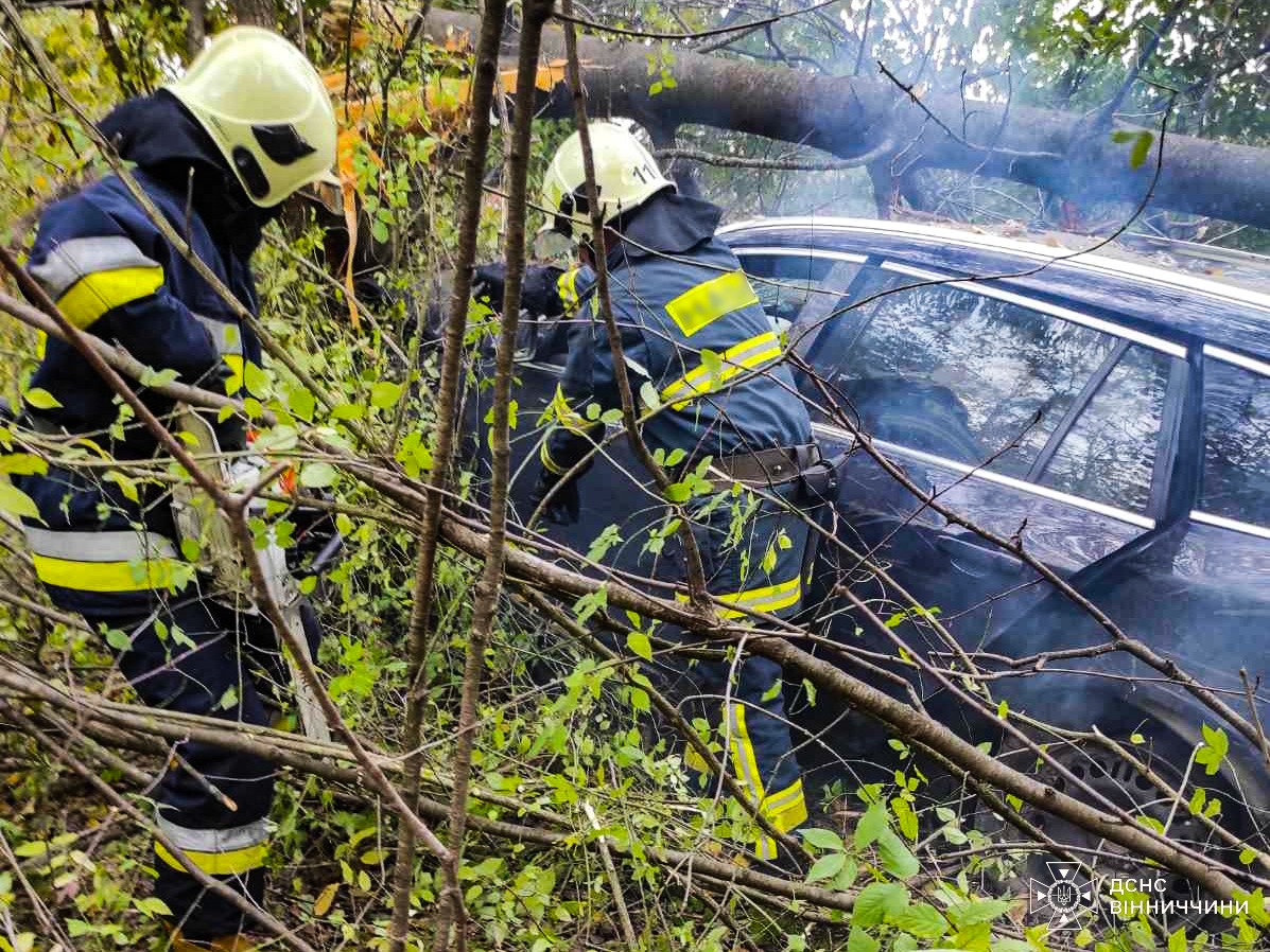 На Вінниччині водій Opel злетів у кювет і врізався в дерево