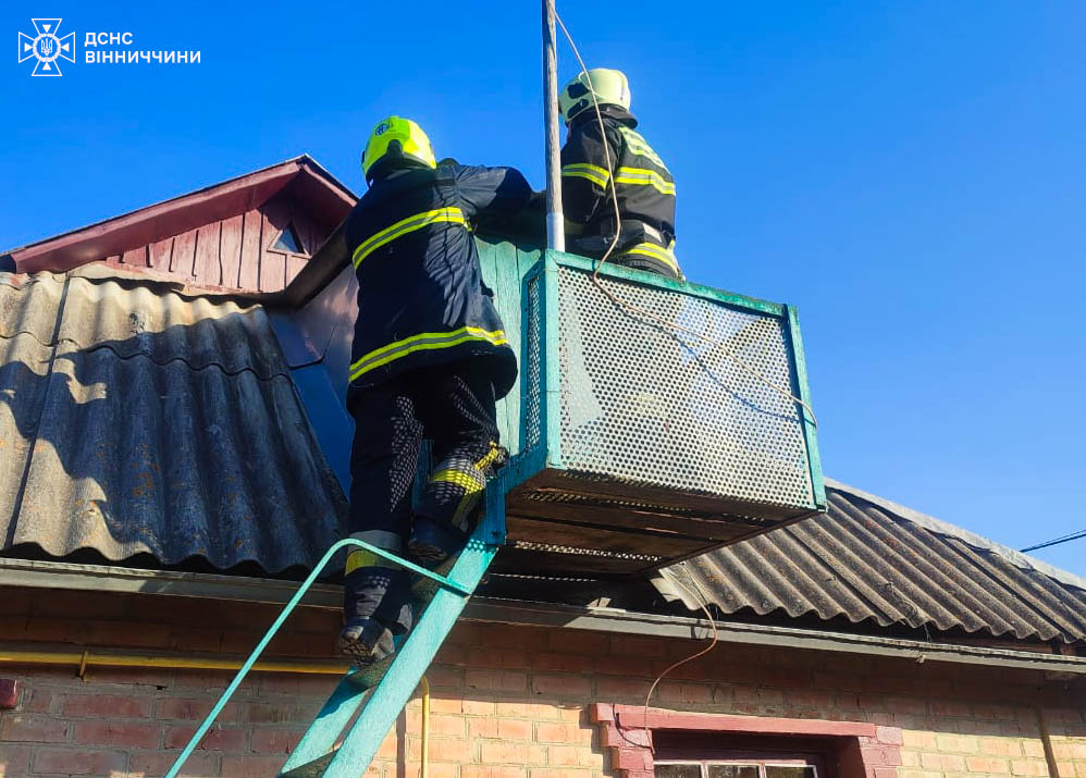 Пожежі на Вінниччині - постраждали будинок та авто