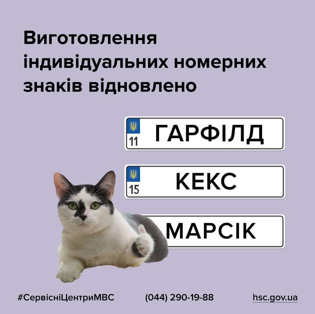 Індивідуальні номерні знаки повертаються: Сервісні центри МВС відновили послугу виготовлення