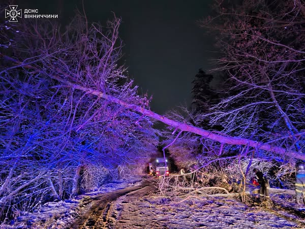 Вінниччина під ударом стихії: як рятувальники допомагають долати наслідки негоди