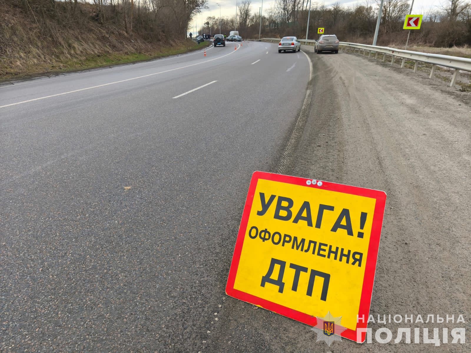 Масштабна ДТП на Вінниччині: у Гайсинському районі згорів автомобіль BMW (ФОТО)