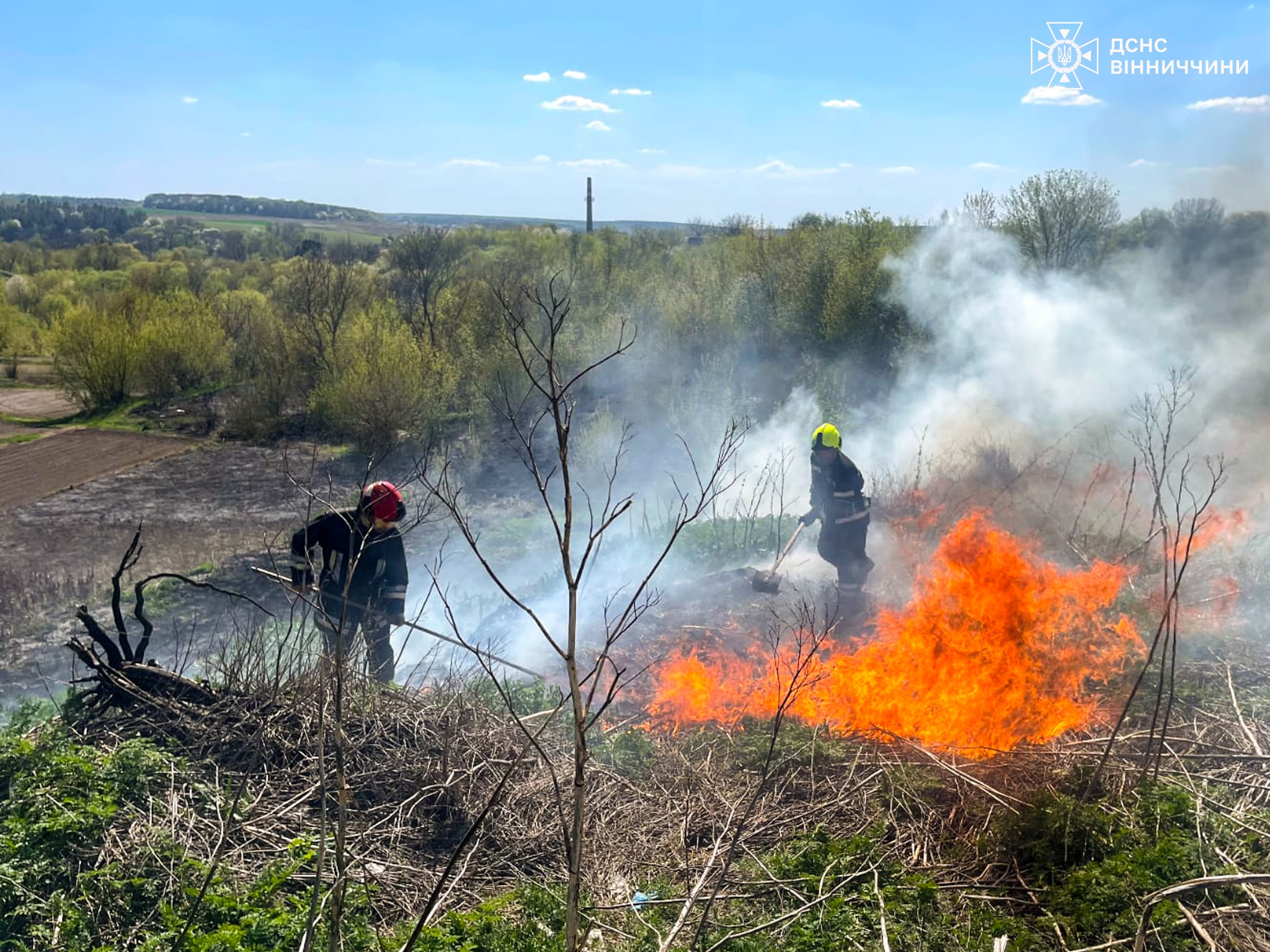 27 пожеж за добу: рятувальники Вінниччини боролися з вогнем у екосистемах і приватних садибах
