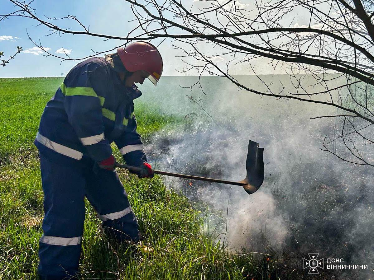 На Вінниччині знову зросла кількість пожеж в природних екосистемах (ФОТО)