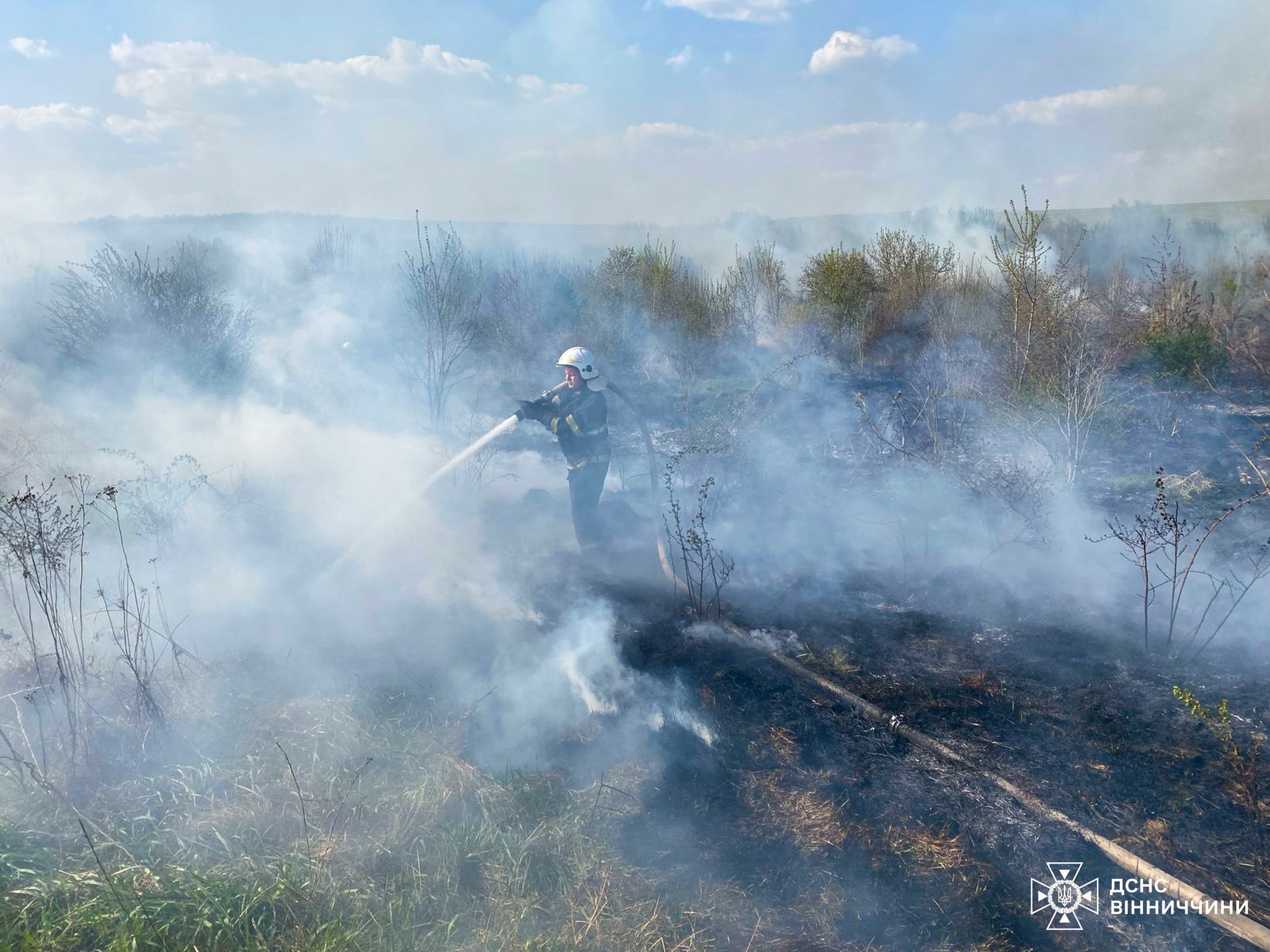  33 пожежі за добу: на Вінниччині вогонь охопив екосистеми, житло та автівки