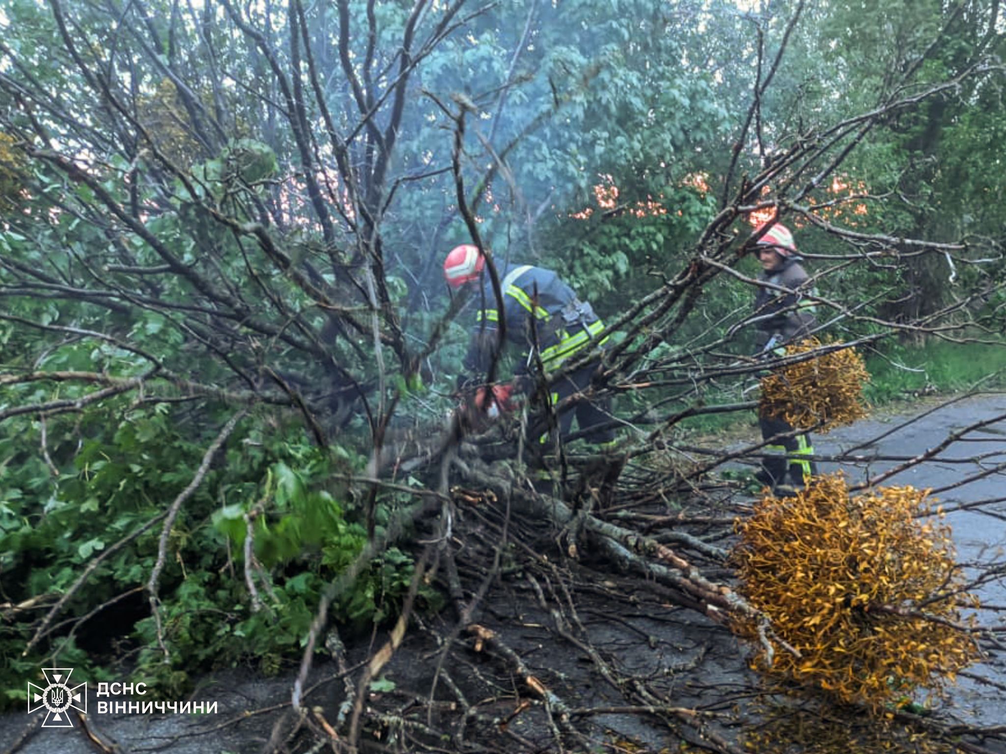 Вінницькі рятувальники ліквідували наслідки негоди