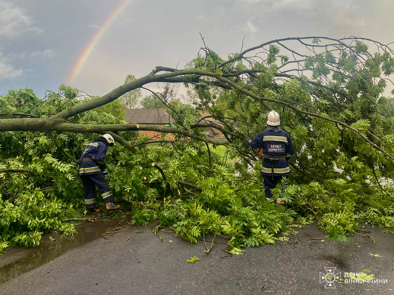 У Вінниці та області рятувальники прибирали з дороги повалені дерева
