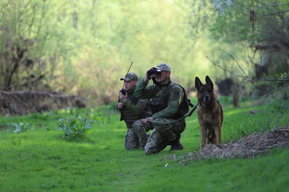 Прикордонник з Вінниччини готує до всеукрaїнських змaгaнь службового псa(ВІДЕО)