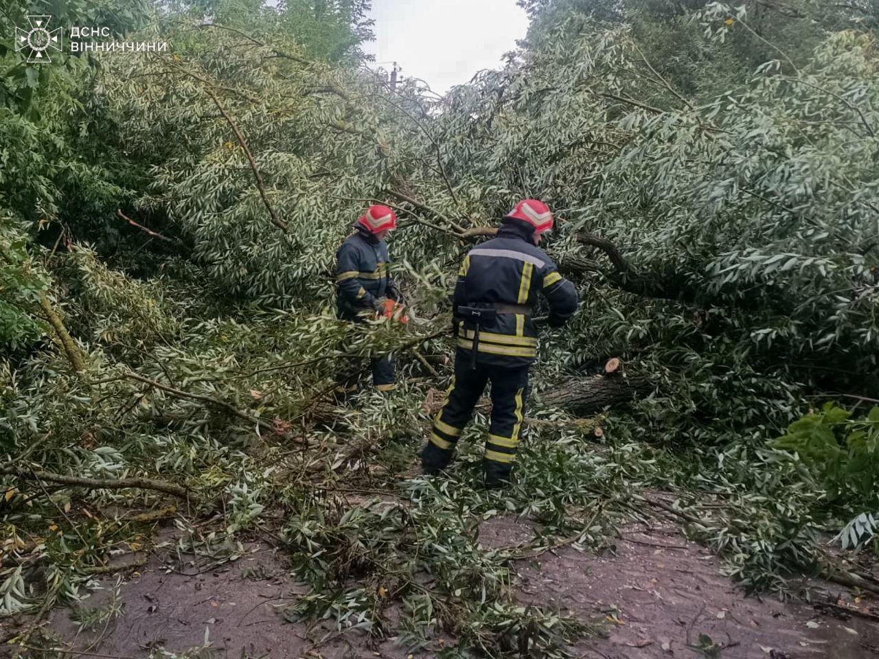 Шторм, який прокотився Вінниччиною, додав рятувальникам роботи
